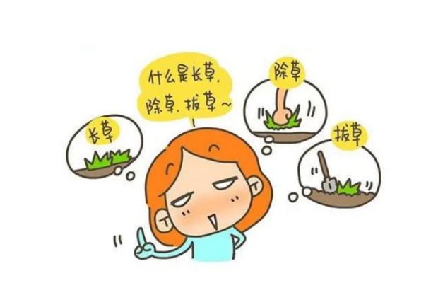 拔草是什么意思 拔草和種草的區(qū)別 拔草是什么意思 拔草和種草的區(qū)別