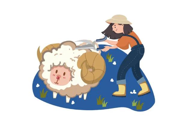 薅羊毛是什么意思 薅羊毛是什么梗 薅羊毛是什么意思 薅羊毛是什么梗