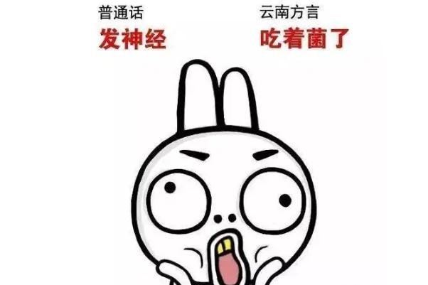 云南方言屬于哪個(gè)方言區(qū) 云南方言老瓦抓是什么意思 云南方言屬于哪個(gè)方言區(qū) 云南方言老瓦抓是什么意思