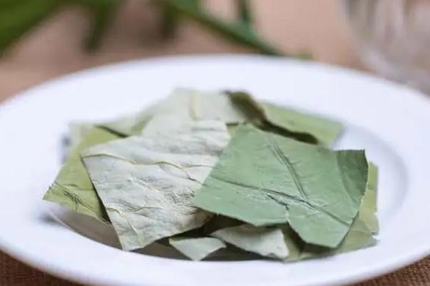 荷葉茶是堿性還是酸性 荷葉茶是煮好還是泡好 荷葉茶是堿性還是酸性 荷葉茶是煮好還是泡好