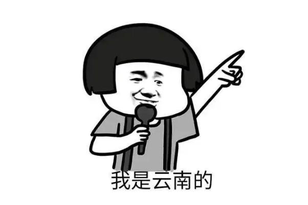 我是云南的什么梗 我是云南的完整版 我是云南的什么梗 我是云南的完整版