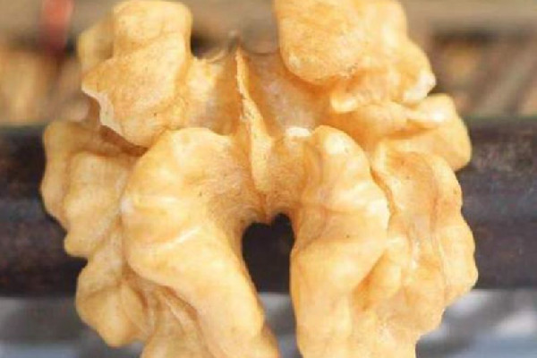 核桃仁的功效與作用 核桃仁對頭發(fā)的作用 核桃仁的功效與作用 核桃仁對頭發(fā)的作用