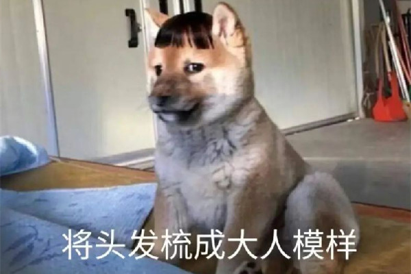 要啥自行車是什么梗 要啥自行車怎么接下一句 要啥自行車是什么梗 要啥自行車怎么接下一句