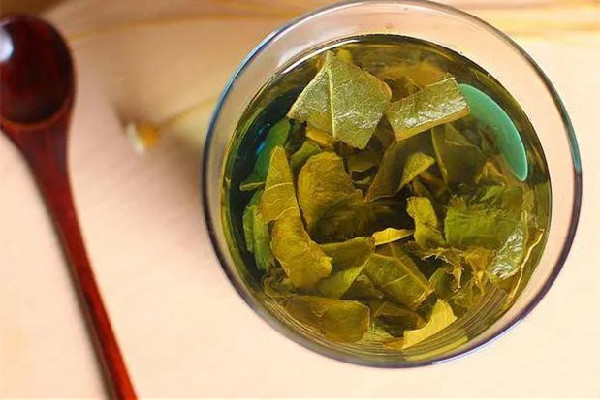 冬瓜荷葉茶怎么喝才能減肥 冬瓜荷葉茶要用開水泡嗎 冬瓜荷葉茶怎么喝才能減肥 冬瓜荷葉茶要用開水泡嗎