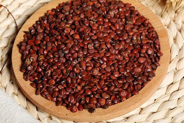 酸棗仁是涼性的還是熱性的 酸棗仁適合什么體質(zhì) 酸棗仁是涼性的還是熱性的 酸棗仁適合什么體質(zhì)