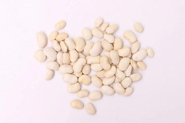 白蕓豆真的能減肥嗎 白蕓豆的功效與禁忌 白蕓豆真的能減肥嗎 白蕓豆的功效與禁忌