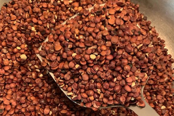 酸棗仁怎么辨別真假 酸棗仁買回來(lái)自己炒可以嗎 酸棗仁怎么辨別真假 酸棗仁買回來(lái)自己炒可以嗎