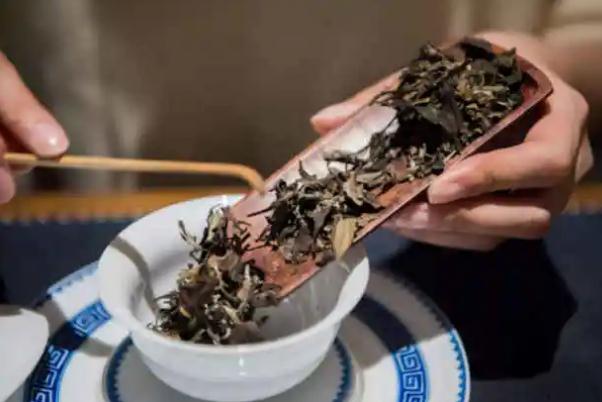 老白茶會(huì)苦嗎 喝老白茶會(huì)失眠嗎 老白茶會(huì)苦嗎 喝老白茶會(huì)失眠嗎