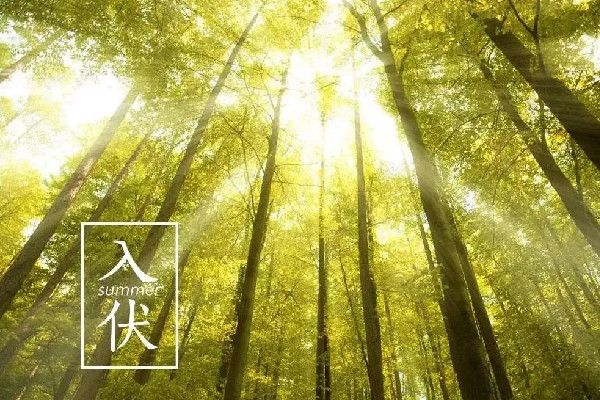 入伏會影響睡眠嗎 入伏犯困是由什么原因造成的 入伏會影響睡眠嗎 入伏犯困是由什么原因造成的