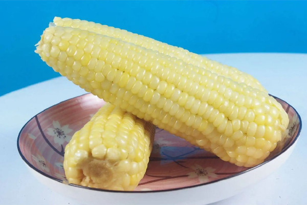 糯玉米可以煲湯嗎 糯玉米可以燉排骨嗎 糯玉米可以煲湯嗎 糯玉米可以燉排骨嗎