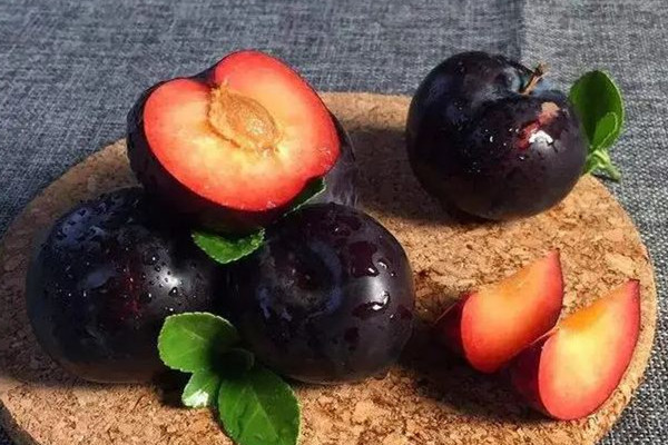 黑布林和紅布林哪個好吃 黑布林可以空腹吃嗎 黑布林和紅布林哪個好吃 黑布林可以空腹吃嗎