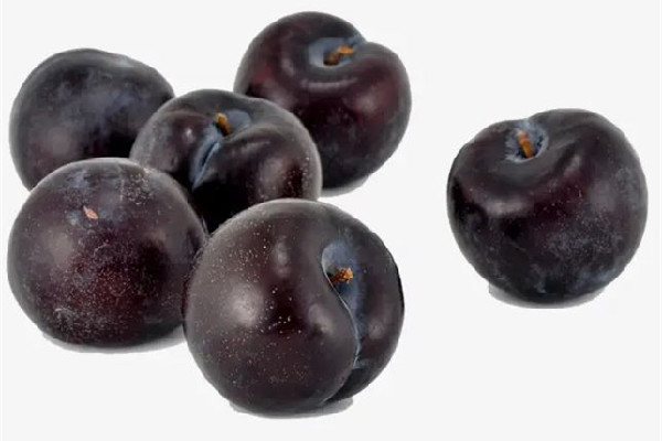 黑布林要放軟了才可以吃嗎 黑布林放冰箱還是常溫 黑布林要放軟了才可以吃嗎 黑布林放冰箱還是常溫