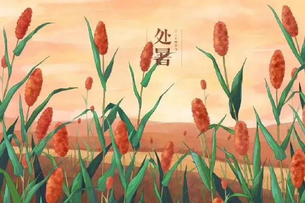 處暑后還熱不熱了 處暑會不會涼快 處暑后還熱不熱了 處暑會不會涼快