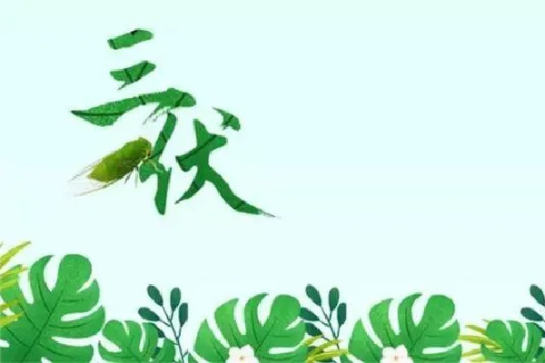 中伏喝什么茶最好 中伏可以喝姜棗茶嗎 中伏喝什么茶最好 中伏可以喝姜棗茶嗎