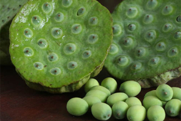 新鮮蓮子吃了會胖嗎 新鮮蓮子的熱量 新鮮蓮子吃了會胖嗎 新鮮蓮子的熱量