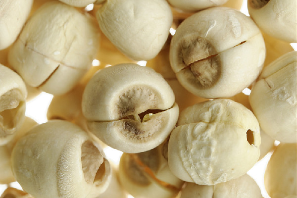 干蓮子可以保存多久 干蓮子可以放冰箱保存嗎 干蓮子可以保存多久 干蓮子可以放冰箱保存嗎