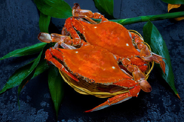 梭子蟹屬于高嘌呤食物嗎 梭子蟹一次可以吃幾只 梭子蟹屬于高嘌呤食物嗎 梭子蟹一次可以吃幾只