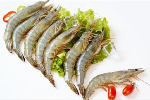基圍蝦會(huì)不會(huì)有寄生蟲(chóng) 基圍蝦可以做生腌蝦嗎
