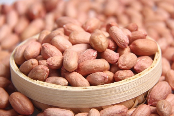 花生吃多了胃不舒服怎么辦 花生對(duì)胃有什么好處 花生吃多了胃不舒服怎么辦 花生對(duì)胃有什么好處