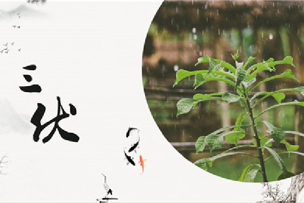 末伏能吃羊肉嗎 末伏可以吃綠豆湯嗎 末伏能吃羊肉嗎 末伏可以吃綠豆湯嗎