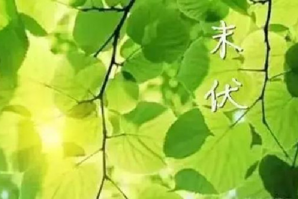 末伏后天氣還要熱多久 末伏是最熱的嗎 末伏后天氣還要熱多久 末伏是最熱的嗎