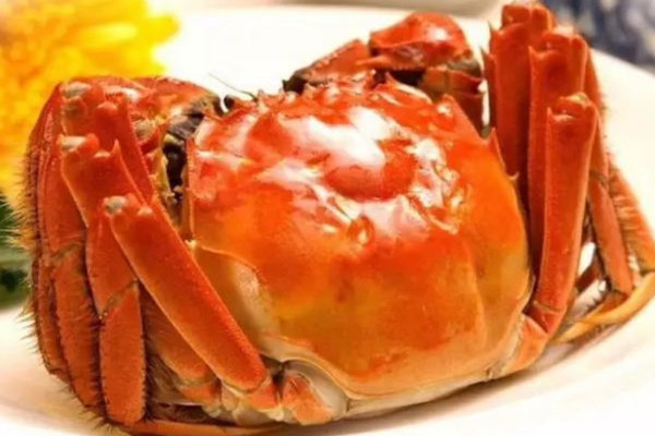 大閘蟹多少錢一斤市場價(jià)2022 大閘蟹哪里的最正宗 大閘蟹多少錢一斤市場價(jià)2022 大閘蟹哪里的最正宗