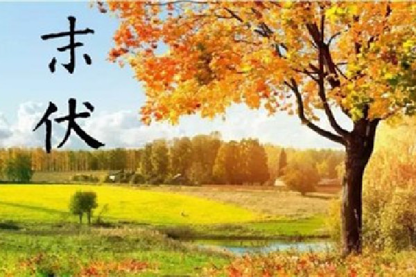 末伏是幾月幾號(hào)2022年 末伏是出伏了嗎 末伏是幾月幾號(hào)2022年 末伏是出伏了嗎