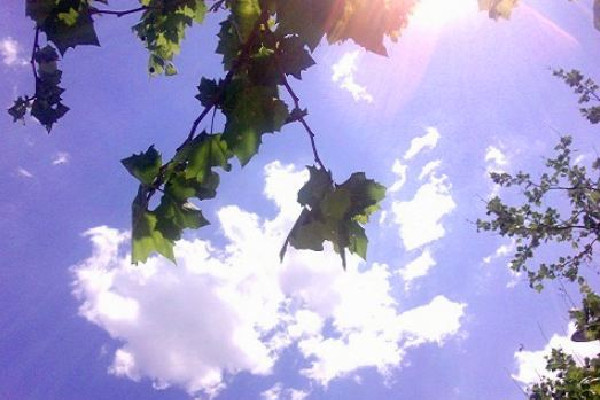 末伏可以刮痧嗎 末伏適合艾灸嗎 末伏可以刮痧嗎 末伏適合艾灸嗎