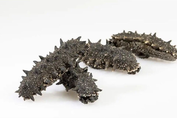 干海參怎么處理才好吃 干海參切開里面是什么顏色的 干海參怎么處理才好吃 干海參切開里面是什么顏色的