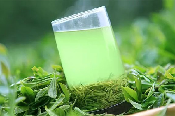 信陽毛尖泡茶為什么茶水很渾濁 信陽毛尖泡出來什么顏色的最好 信陽毛尖泡茶為什么茶水很渾濁 信陽毛尖泡出來什么顏色的最好