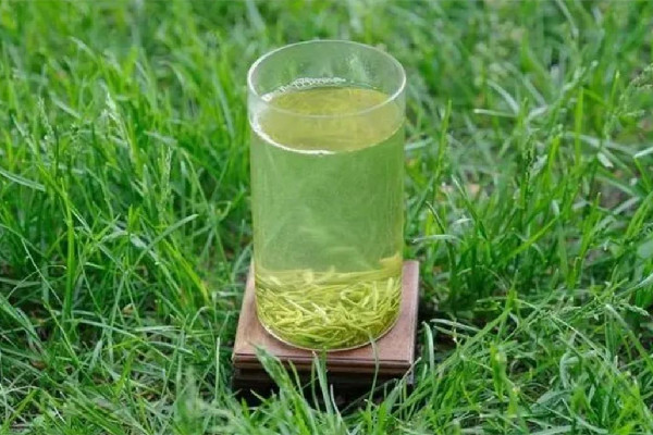 信陽(yáng)毛尖有點(diǎn)苦咋回事 信陽(yáng)毛尖喝起來(lái)什么味道 信陽(yáng)毛尖有點(diǎn)苦咋回事 信陽(yáng)毛尖喝起來(lái)什么味道