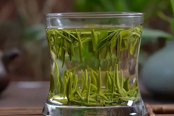 信陽毛尖的沖泡方法 信陽毛尖用什么茶具泡比較好 信陽毛尖的沖泡方法 信陽毛尖用什么茶具泡比較好