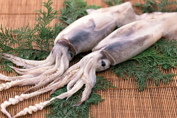 新鮮魷魚會泡藥水嗎 新鮮魷魚買回來要怎么清洗 新鮮魷魚會泡藥水嗎 新鮮魷魚買回來要怎么清洗