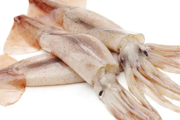 新鮮魷魚有堿味有害嗎 新鮮魷魚為什么有堿味 新鮮魷魚有堿味有害嗎 新鮮魷魚為什么有堿味