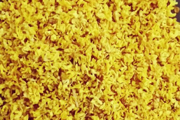 桂花茶是哪里的特產(chǎn) 桂花茶屬于花茶嗎 桂花茶是哪里的特產(chǎn) 桂花茶屬于花茶嗎