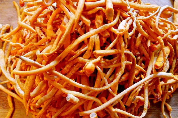 蟲(chóng)草花要泡多久能煲湯 蟲(chóng)草花用冷水泡還是熱水泡 蟲(chóng)草花要泡多久能煲湯 蟲(chóng)草花用冷水泡還是熱水泡