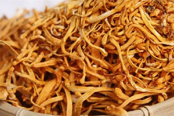 蟲草花有白色的毛還能吃嗎 蟲草花會變質嗎