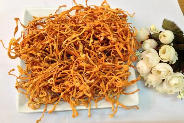 蟲草花有白色的毛還能吃嗎 蟲草花會變質嗎