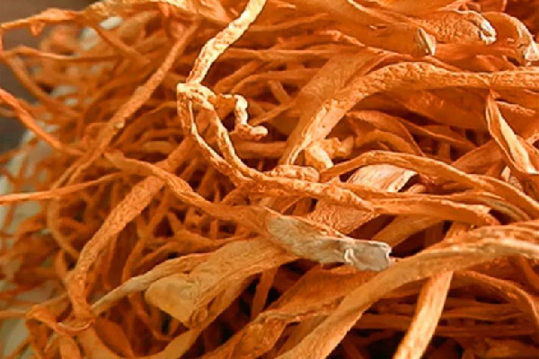 蟲草花燉湯什么時(shí)候放最好 蟲草花燉湯用干的還是新鮮的 蟲草花燉湯什么時(shí)候放最好 蟲草花燉湯用干的還是新鮮的