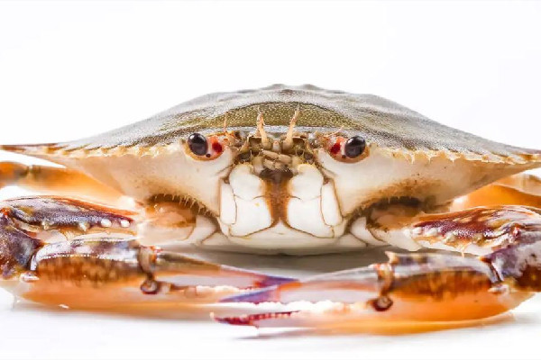 三眼蟹怎么處理干凈 三眼蟹可以冷凍保存嗎 三眼蟹怎么處理干凈 三眼蟹可以冷凍保存嗎