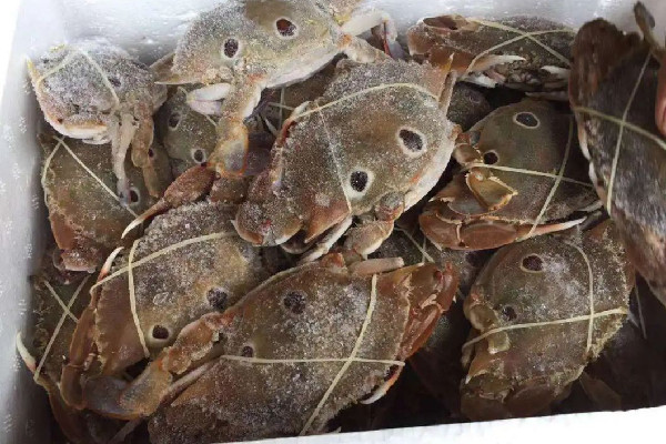 三眼蟹多少錢一斤 三眼蟹為什么比梭子蟹便宜 三眼蟹多少錢一斤 三眼蟹為什么比梭子蟹便宜