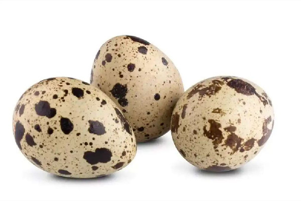 鵪鶉蛋吃了會(huì)不會(huì)發(fā)胖 鵪鶉和雞蛋哪個(gè)膽固醇高 鵪鶉蛋吃了會(huì)不會(huì)發(fā)胖 鵪鶉和雞蛋哪個(gè)膽固醇高