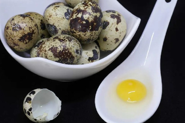 鵪鶉蛋吃了會(huì)不會(huì)發(fā)胖 鵪鶉和雞蛋哪個(gè)膽固醇高 鵪鶉蛋吃了會(huì)不會(huì)發(fā)胖 鵪鶉和雞蛋哪個(gè)膽固醇高
