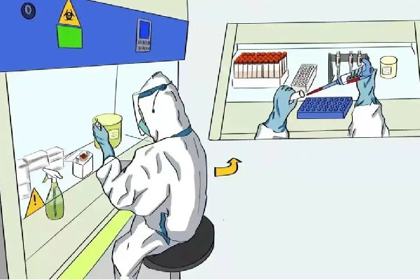 核酸檢測為什么要天天做 核酸檢測不顯示采樣時間怎么辦 核酸檢測為什么要天天做 核酸檢測不顯示采樣時間怎么辦