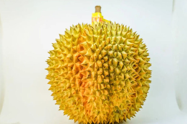 榴蓮吃起來(lái)苦怎么回事 榴蓮是高蛋白食物嗎 榴蓮吃起來(lái)苦怎么回事 榴蓮是高蛋白食物嗎