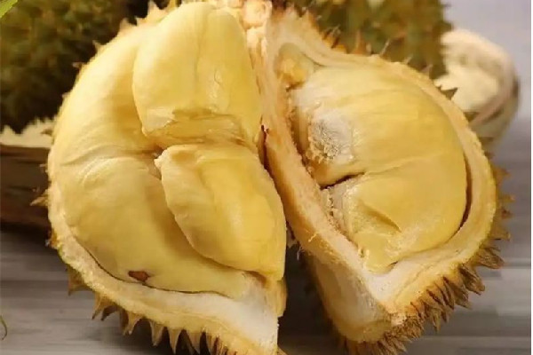 金枕榴蓮多少錢(qián)一斤 金枕榴蓮屬于什么等級(jí) 金枕榴蓮多少錢(qián)一斤 金枕榴蓮屬于什么等級(jí)