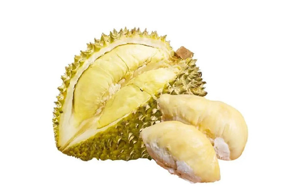 榴蓮吃起來(lái)苦怎么回事 榴蓮是高蛋白食物嗎 榴蓮吃起來(lái)苦怎么回事 榴蓮是高蛋白食物嗎