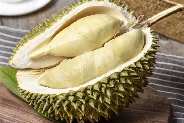 榴蓮可以和牛奶一起吃嗎 榴蓮放冰箱可以放幾天 榴蓮可以和牛奶一起吃嗎 榴蓮放冰箱可以放幾天