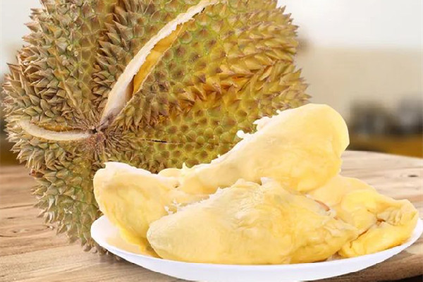 金枕榴蓮的口感和特點(diǎn) 金枕榴蓮的出肉率大概是多少 金枕榴蓮的口感和特點(diǎn) 金枕榴蓮的出肉率大概是多少