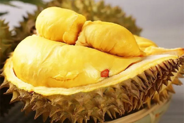 金枕榴蓮和貓山王的區(qū)別 金枕榴蓮和貓山王榴蓮哪個(gè)貴 金枕榴蓮和貓山王的區(qū)別 金枕榴蓮和貓山王榴蓮哪個(gè)貴